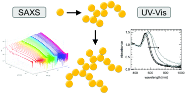 Graphical abstract: Salt-induced cluster formation of gold nanoparticles followed by stopped-flow SAXS, DLS and extinction spectroscopy