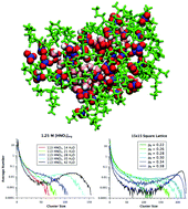 Graphical abstract: Network analysis and percolation transition in hydrogen bonded clusters: nitric acid and water extracted by tributyl phosphate