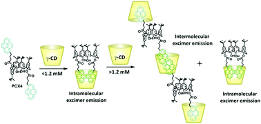 Graphical abstract: Cyclodextrin-assisted modulation of the photophysical properties and acidity constant of pyrene-armed calix[4]arene