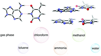 Graphical abstract: B-DNA model systems in non-terran bio-solvents: implications for structure, stability and replication