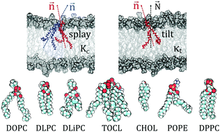 Graphical abstract: Determination of bending rigidity and tilt modulus of lipid membranes from real-space fluctuation analysis of molecular dynamics simulations