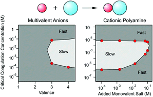 Graphical abstract: Heteroaggregation of oppositely charged particles in the presence of multivalent ions