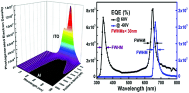 Graphical abstract: Photomultiplication type narrowband organic photodetectors working at forward and reverse bias