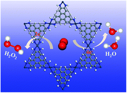 Graphical abstract: Theoretical insights into the catalytic mechanism for the oxygen reduction reaction on M3(hexaiminotriphenylene)2 (M = Ni, Cu)