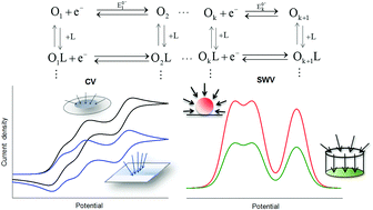 Graphical abstract: Microelectrode voltammetry of multi-electron transfers complicated by coupled chemical equilibria: a general theory for the extended square scheme