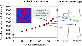 Graphical abstract: Reline aqueous solutions behaving as liquid mixtures of H-bonded co-solvents: microphase segregation and formation of co-continuous structures as indicated by Brillouin and 1H NMR spectroscopies
