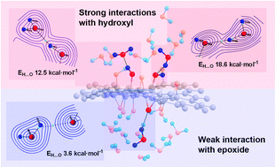 Graphical abstract: New insights into the solubility of graphene oxide in water and alcohols