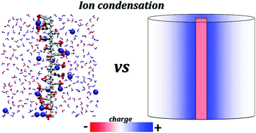 Graphical abstract: Ability of the Poisson–Boltzmann equation to capture molecular dynamics predicted ion distribution around polyelectrolytes