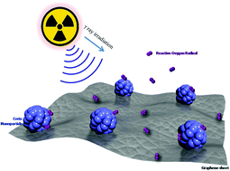 Graphical abstract: Anchoring ceria nanoparticles on graphene oxide and their radical scavenge properties under gamma irradiation environment