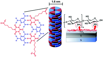 Graphical abstract: Using a chitosan nanolayer as an efficient pH buffer to protect pH-sensitive supramolecular assemblies