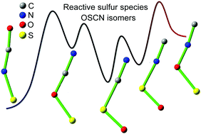 Graphical abstract: The hypothiocyanite radical OSCN and its isomers