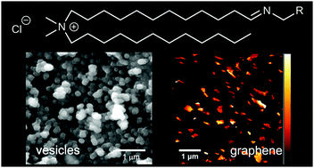 Graphical abstract: Aqueous dispersions of nanostructures formed through the self-assembly of iminolipids with exchangeable hydrophobic termini