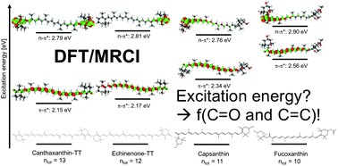 Graphical abstract: Excited state characterization of carbonyl containing carotenoids: a comparison between single and multireference descriptions