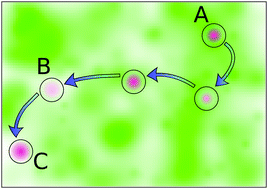 Graphical abstract: Reaction–diffusion with stochastic decay rates