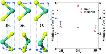 Graphical abstract: Regulation of transport properties by polytypism: a computational study on bilayer MoS2