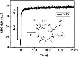 Graphical abstract: Two-step adsorption kinetics of malachite green on anionic polystyrene microspheres in aqueous solution probed by second harmonic generation