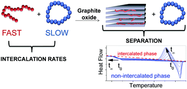 Graphical abstract: Kinetic differences in the intercalation of linear and cyclic penta(ethylene oxide)s into graphite oxide leading to separation by topology