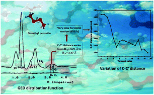 Graphical abstract: The gas-phase structure of dimethyl peroxide