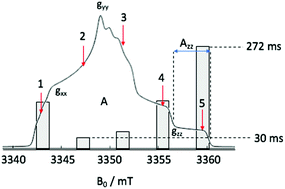 Graphical abstract: Anisotropic longitudinal electronic relaxation affects DNP at cryogenic temperatures