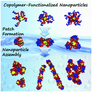 Graphical abstract: Directed assembly of functionalized nanoparticles with amphiphilic diblock copolymers