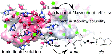 Graphical abstract: NMR spectroscopic studies of a TAT-derived model peptide in imidazolium-based ILs: influence on chemical shifts and the cis/trans equilibrium state