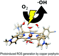 Graphical abstract: Photosensitization mechanism of Cu(ii) porphyrins