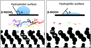 Graphical abstract: Surface configuration and wettability of nickel(oxy)hydroxides: a first-principles investigation