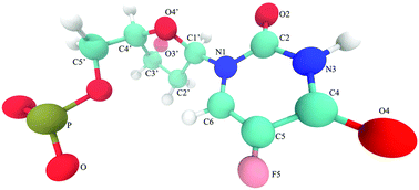 Graphical abstract: All-atom MD indicates ion-dependent behavior of therapeutic DNA polymer