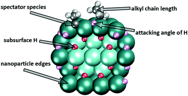 Graphical abstract: Approaching complexity of alkyl hydrogenation on Pd via density-functional modelling