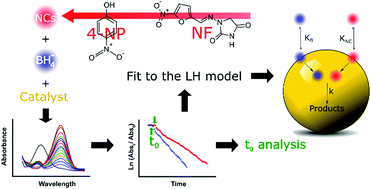 Graphical abstract: The Langmuir–Hinshelwood approach for kinetic evaluation of cucurbit[7]uril-capped gold nanoparticles in the reduction of the antimicrobial nitrofurantoin