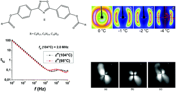 Graphical abstract: Short bent-core molecules: X-ray, polarization, dielectricity, texture and electro-optics investigations