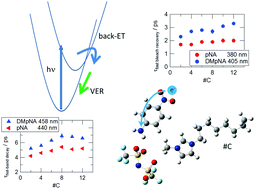 Graphical abstract: Photoexcitation dynamics of p-nitroaniline and N,N-dimethyl-p-nitroaniline in 1-alkyl-3-methylimidazolium-cation based ionic liquids with different alkyl-chain lengths