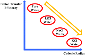 Graphical abstract: Ionic diffusion and proton transfer in aqueous solutions of alkali metal salts