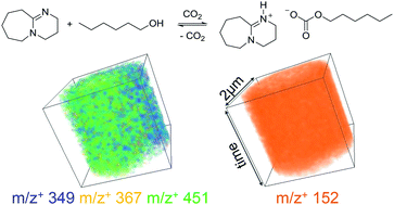 Graphical abstract: Two coexisting liquid phases in switchable ionic liquids