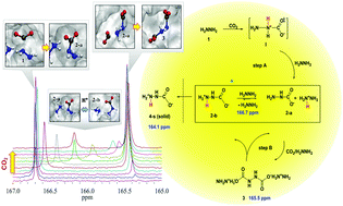 Graphical abstract: Understanding CO2 capture mechanisms in aqueous hydrazine via combined NMR and first-principles studies