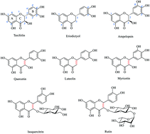 Graphical abstract: Quercetin and its analogues: optical and acido–basic properties