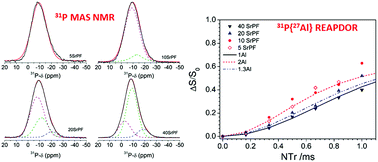 Graphical abstract: Rare-earth doped fluoride phosphate glasses: structural foundations of their luminescence properties