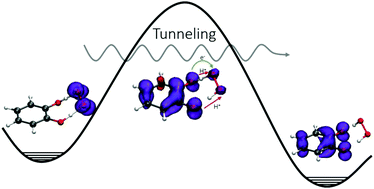 Graphical abstract: Concerted double proton-transfer electron-transfer between catechol and superoxide radical anion