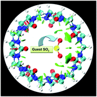 Graphical abstract: Endohedral gas adsorption by cucurbit[7]uril: a theoretical study