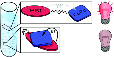 Graphical abstract: Excited state dynamics and conformations of a Cu(ii)-phthalocyanine-perylenebisimide dyad