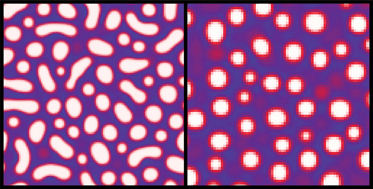 Graphical abstract: Phase separation dynamics of polydisperse colloids: a mean-field lattice-gas theory