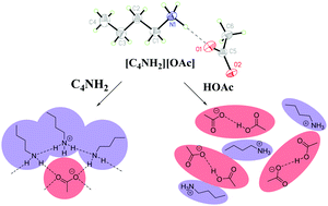 Graphical abstract: Separate mechanisms of ion oligomerization tune the physicochemical properties of n-butylammonium acetate: cation-base clusters vs. anion-acid dimers