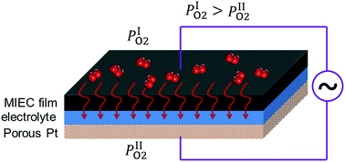 Graphical abstract: On the bulk transport process and its impact on the electrode behavior of mixed conducting electrodes for SOFCs