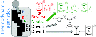 Graphical abstract: Enhancing thermoelectrochemical properties by tethering ferrocene to the anion or cation of ionic liquids: altered thermodynamics and solubility