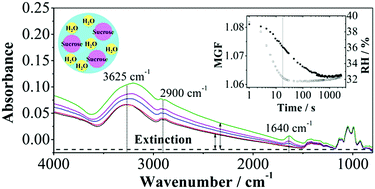 Graphical abstract: A rapid scan vacuum FTIR method for determining diffusion coefficients in viscous and glassy aerosol particles