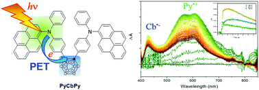 Graphical abstract: Direct observation of the photoinduced electron transfer processes of bis(4-arylphenylamino benzo)-ortho-carborane using transient absorption spectroscopic measurements