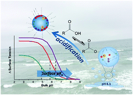 Graphical abstract: Surface pKa of octanoic, nonanoic, and decanoic fatty acids at the air–water interface: applications to atmospheric aerosol chemistry