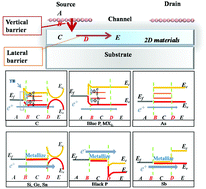 Graphical abstract: Interfacial properties of borophene contacts with two-dimensional semiconductors