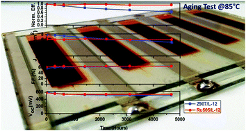 Graphical abstract: Stability of dye-sensitized solar cells under extended thermal stress