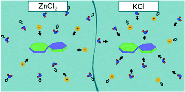 Graphical abstract: Statistical thermodynamics unveils the dissolution mechanism of cellobiose